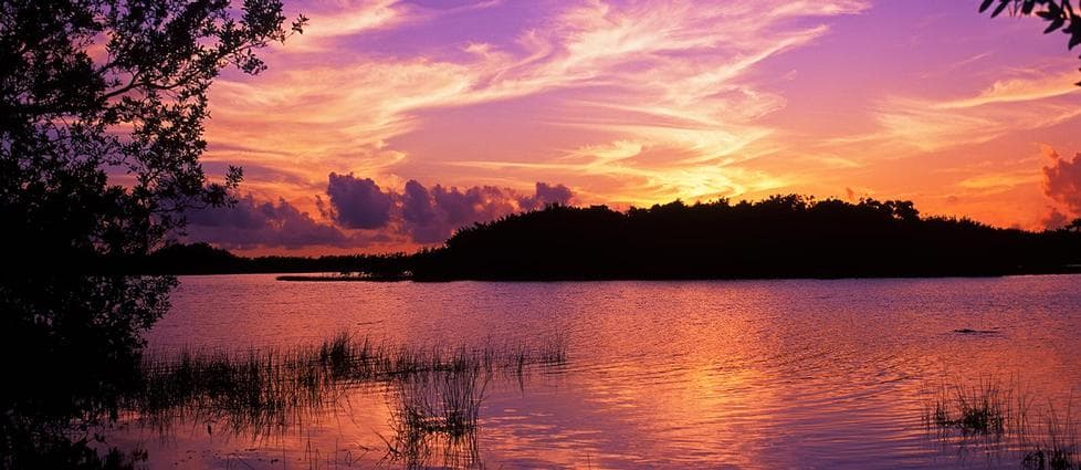 Sunset in the Everglades