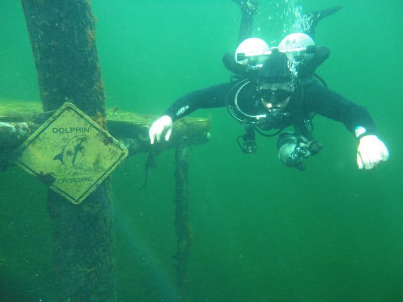 Dive deep in the green reefs to find memories and treasures of the past