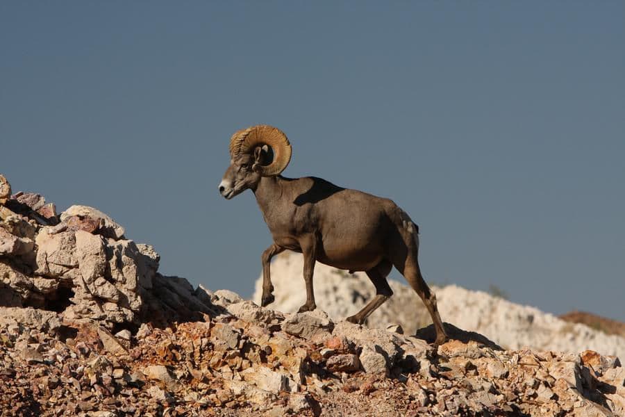 Get up close and personal with nature and its many inhabitants