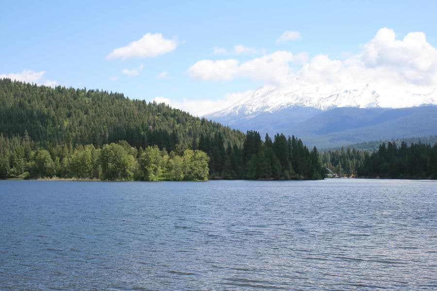 The snow covered tops of Mount Shasta offer a surreal setting