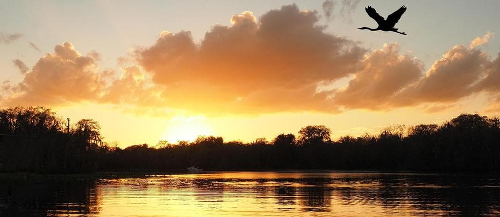 Sunset on the St. John's River