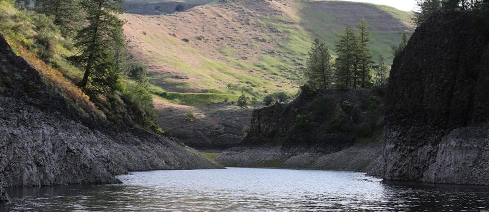 A Quiet Cove on Lake Roosevelt