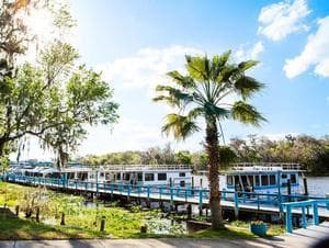 St Johns River: Au Naturale