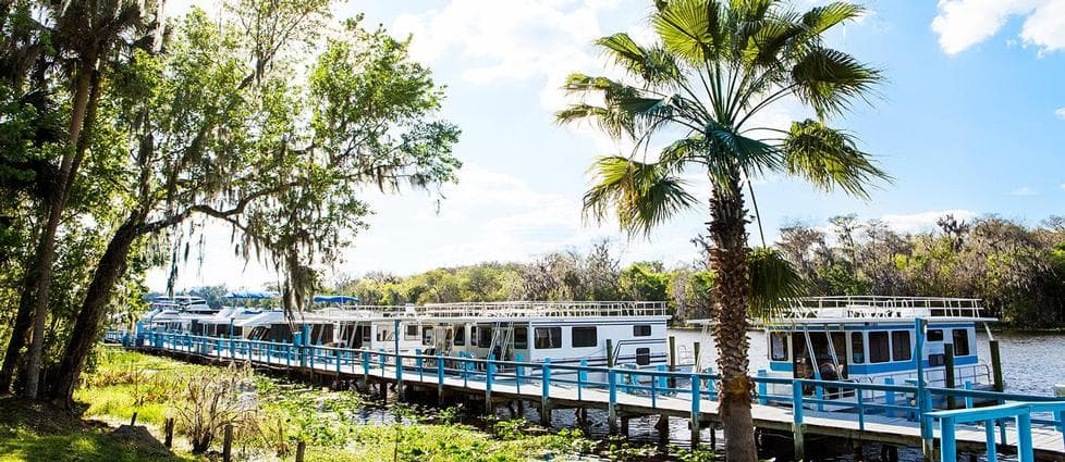 Houseboats at Holly Bluff Marina