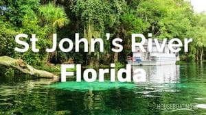 Discover St Johns River