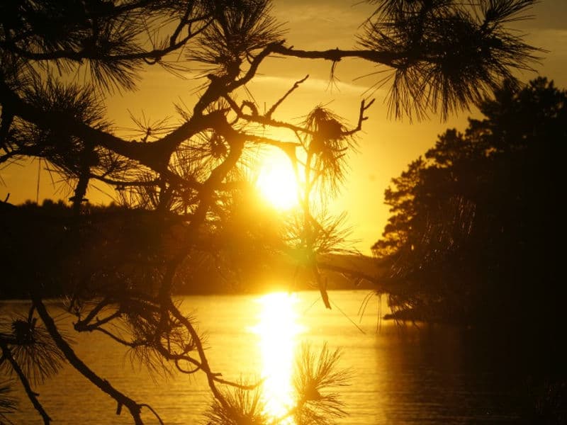 Watch the sun set from the Ash River Visitors Center Photos