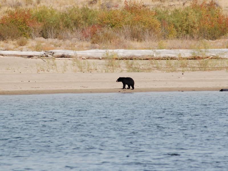 Local adorable wildlife Photos