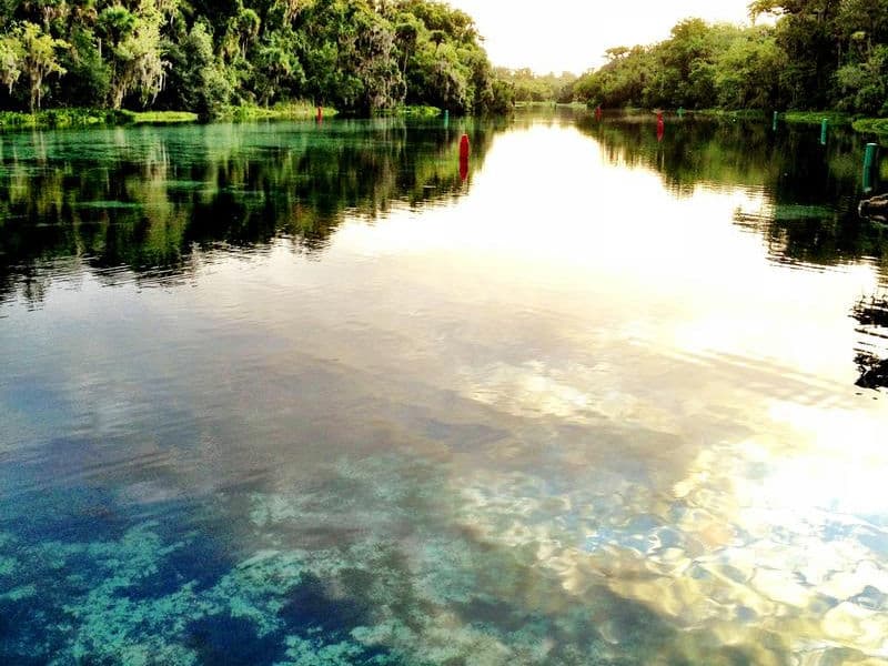 Lush trees drape over the crystal waters creating a serene setting Photos