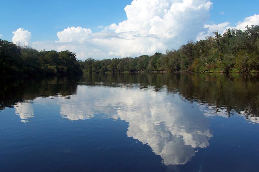 top-attractions-on-the-suwannee-river